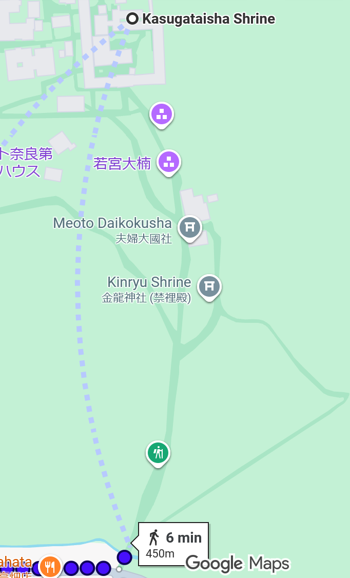 The forest path